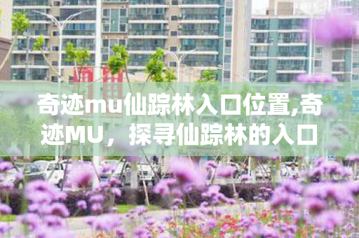 奇迹mu仙踪林入口位置,奇迹MU,探寻仙踪林的入口与精灵秘境 奇迹mu仙踪林入口位置,奇迹MU,探寻仙踪林的入口与精灵秘境