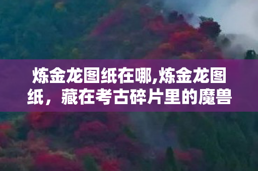 炼金龙图纸在哪,炼金龙图纸,藏在考古碎片里的魔兽情怀 炼金龙图纸在哪,炼金龙图纸,藏在考古碎片里的魔兽情怀