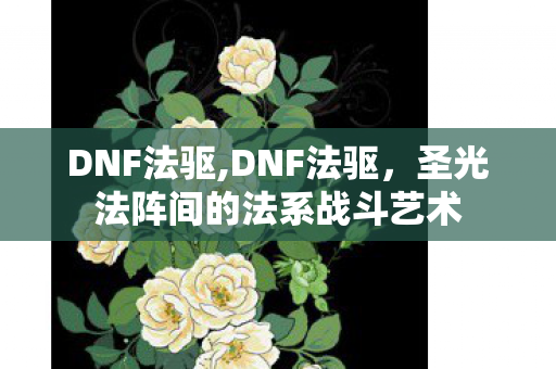 DNF法驱,DNF法驱,圣光法阵间的法系战斗艺术 DNF法驱,DNF法驱,圣光法阵间的法系战斗艺术