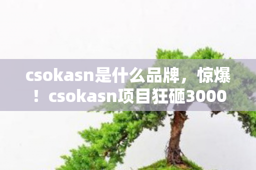 csokasn是什么品牌,惊爆!csokasn项目狂砸3000万,背后隐情曝光,真让人吓一跳! csokasn是什么品牌,惊爆!csokasn项目狂砸3000万,背后隐情曝光,真让人吓一跳!