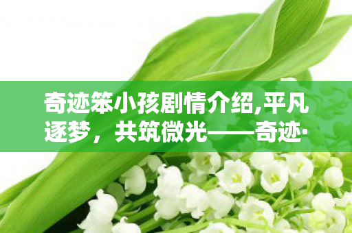 奇迹笨小孩剧情介绍,平凡逐梦，共筑微光——奇迹·笨小孩的剧情与温度