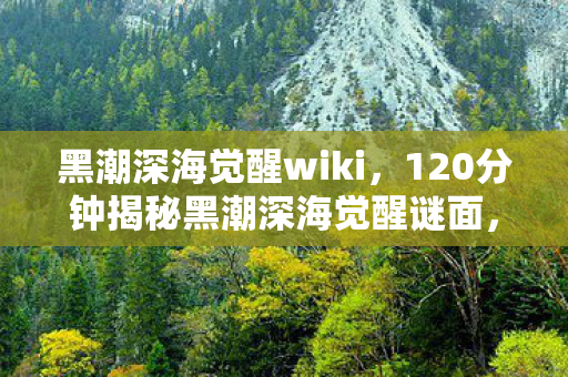 黑潮深海觉醒wiki,120分钟揭秘黑潮深海觉醒谜面,那些消逝的舰娘,泪目真相! 黑潮深海觉醒wiki,120分钟揭秘黑潮深海觉醒谜面,那些消逝的舰娘,泪目真相!