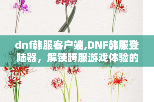 dnf韩服客户端,DNF韩服登陆器,解锁跨服游戏体验的便捷桥梁 dnf韩服客户端,DNF韩服登陆器,解锁跨服游戏体验的便捷桥梁