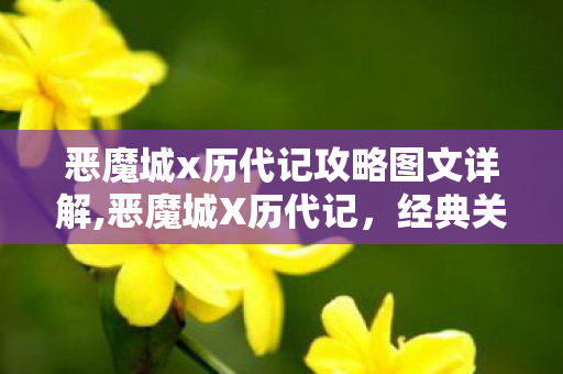 恶魔城x历代记攻略图文详解,恶魔城X历代记，经典关卡与实用通关攻略