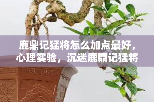 鹿鼎记猛将怎么加点最好,心理实验,沉迷鹿鼎记猛将加点,细思极恐的自我麻醉报告 鹿鼎记猛将怎么加点最好,心理实验,沉迷鹿鼎记猛将加点,细思极恐的自我麻醉报告