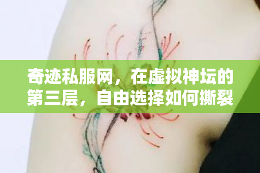 奇迹私服网，在虚拟神坛的第三层，自由选择如何撕裂命运的悖论？