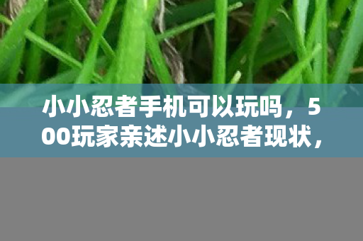 小小忍者手机可以玩吗，500玩家亲述小小忍者现状，疑点重重，这操作真让人绷不住！
