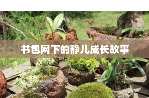 书包网下的静儿成长故事 书包网下的静儿成长故事