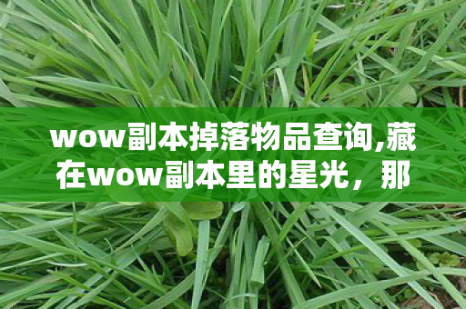 wow副本掉落物品查询,藏在wow副本里的星光,那些让玩家心跳加速的掉落瞬间 wow副本掉落物品查询,藏在wow副本里的星光,那些让玩家心跳加速的掉落瞬间