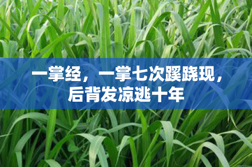 一掌经,一掌七次蹊跷现,后背发凉逃十年 一掌经,一掌七次蹊跷现,后背发凉逃十年