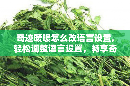 奇迹暖暖怎么改语言设置,轻松调整语言设置,畅享奇迹暖暖多元体验 奇迹暖暖怎么改语言设置,轻松调整语言设置,畅享奇迹暖暖多元体验