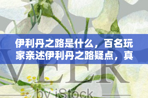伊利丹之路是什么,百名玩家亲述伊利丹之路疑点,真相揭晓时众人绷不住了! 伊利丹之路是什么,百名玩家亲述伊利丹之路疑点,真相揭晓时众人绷不住了!