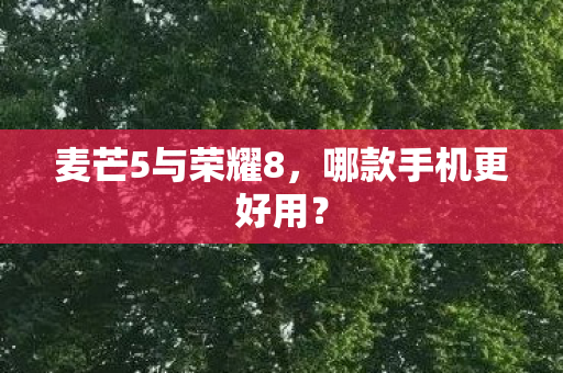 麦芒5与荣耀8,哪款手机更好用? 麦芒5与荣耀8,哪款手机更好用?