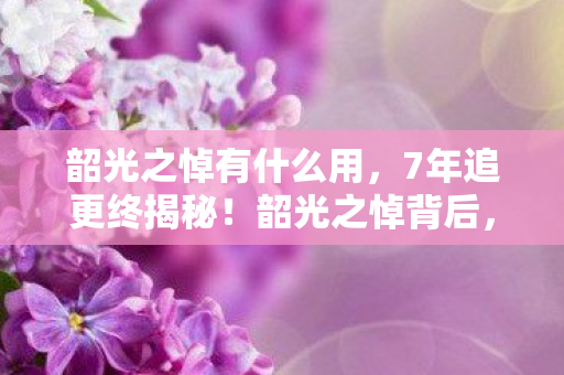 韶光之悼有什么用,7年追更终揭秘!韶光之悼背后,竟藏着千万玩家的青春墓碑? 韶光之悼有什么用,7年追更终揭秘!韶光之悼背后,竟藏着千万玩家的青春墓碑?