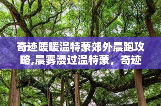 奇迹暖暖温特蒙郊外晨跑攻略,晨雾漫过温特蒙,奇迹暖暖里的郊外绮跑时光 奇迹暖暖温特蒙郊外晨跑攻略,晨雾漫过温特蒙,奇迹暖暖里的郊外绮跑时光