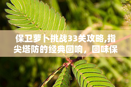 保卫萝卜挑战33关攻略,指尖塔防的经典回响,回味保卫萝卜挑战33的闯关时光 保卫萝卜挑战33关攻略,指尖塔防的经典回响,回味保卫萝卜挑战33的闯关时光