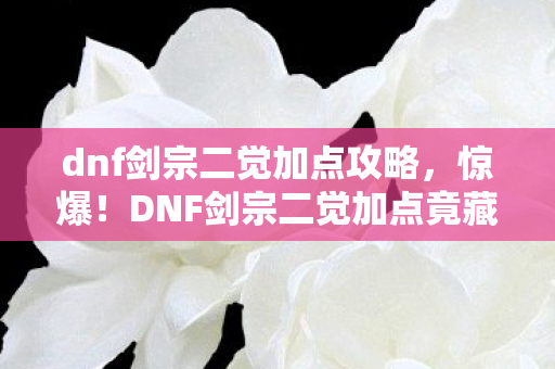dnf剑宗二觉加点攻略，惊爆！DNF剑宗二觉加点竟藏5000元隐情，真相让人吓一跳！