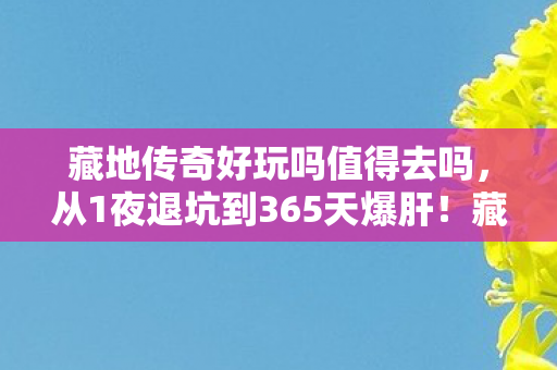 藏地传奇好玩吗值得去吗，从1夜退坑到365天爆肝！藏地传奇究竟藏着什么致命诱惑？