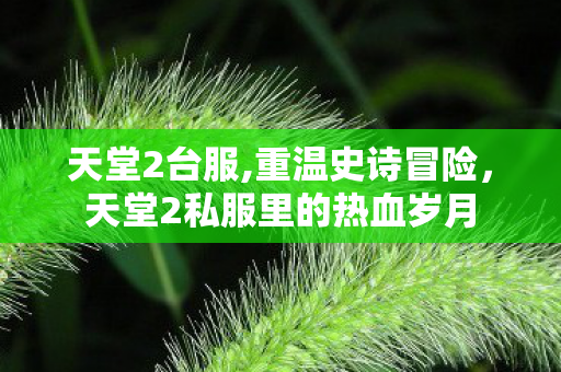 天堂2台服,重温史诗冒险,天堂2私服里的热血岁月 天堂2台服,重温史诗冒险,天堂2私服里的热血岁月