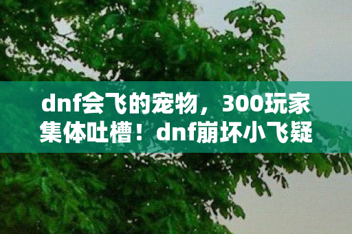 dnf会飞的宠物，300玩家集体吐槽！dnf崩坏小飞疑点重重，这操作真让人绷不住！
