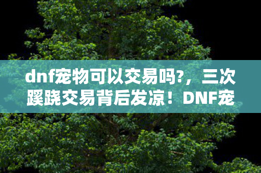 dnf宠物可以交易吗?，三次蹊跷交易背后发凉！DNF宠物交易竟藏着这等算计？
