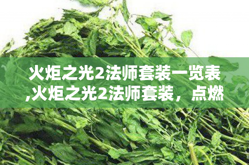 火炬之光2法师套装一览表,火炬之光2法师套装，点燃元素魔法的战力核心