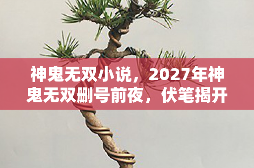 神鬼无双小说,2027年神鬼无双删号前夜,伏笔揭开时,我鼻子一酸 神鬼无双小说,2027年神鬼无双删号前夜,伏笔揭开时,我鼻子一酸