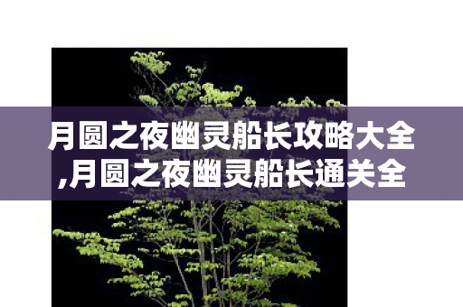 月圆之夜幽灵船长攻略大全,月圆之夜幽灵船长通关全攻略,从卡组构筑到战斗细节 月圆之夜幽灵船长攻略大全,月圆之夜幽灵船长通关全攻略,从卡组构筑到战斗细节