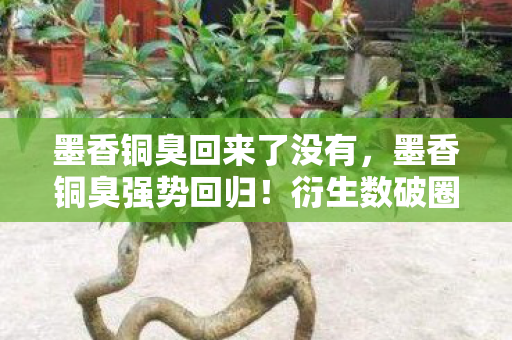 墨香铜臭回来了没有,墨香铜臭强势回归!衍生数破圈,游戏周边让我败家到意想不到! 墨香铜臭回来了没有,墨香铜臭强势回归!衍生数破圈,游戏周边让我败家到意想不到!