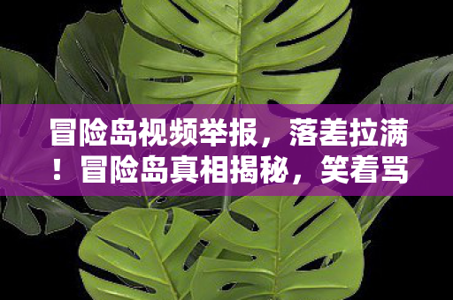 冒险岛视频举报,落差拉满!冒险岛真相揭秘,笑着骂策划,哭着又登号 冒险岛视频举报,落差拉满!冒险岛真相揭秘,笑着骂策划,哭着又登号