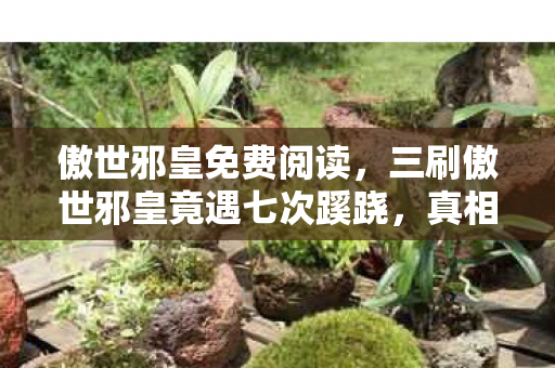 傲世邪皇免费阅读,三刷傲世邪皇竟遇七次蹊跷,真相揭晓后背发凉! 傲世邪皇免费阅读,三刷傲世邪皇竟遇七次蹊跷,真相揭晓后背发凉!