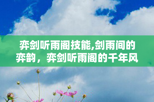 弈剑听雨阁技能,剑雨间的弈韵，弈剑听雨阁的千年风骨
