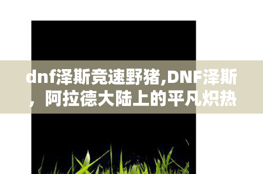 dnf泽斯竞速野猪,DNF泽斯,阿拉德大陆上的平凡炽热 dnf泽斯竞速野猪,DNF泽斯,阿拉德大陆上的平凡炽热