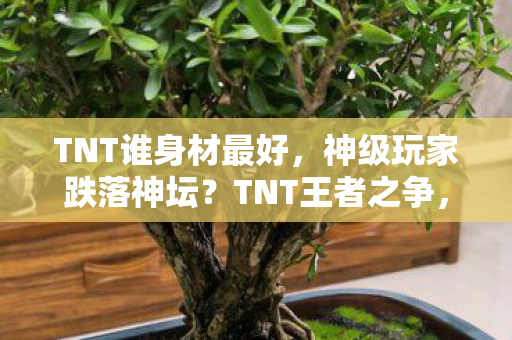 TNT谁身材最好，神级玩家跌落神坛？TNT王者之争，巅峰之下的灵魂悖论震颤