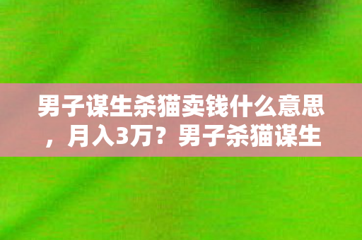 男子谋生杀猫卖钱什么意思,月入3万?男子杀猫谋生背后,竟藏着比卖肉更暴利的隐秘产业链! 男子谋生杀猫卖钱什么意思,月入3万?男子杀猫谋生背后,竟藏着比卖肉更暴利的隐秘产业链!