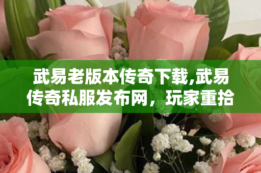武易老版本传奇下载,武易传奇私服发布网,玩家重拾复古传奇情怀的优质选择 武易老版本传奇下载,武易传奇私服发布网,玩家重拾复古传奇情怀的优质选择