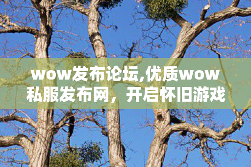 wow发布论坛,优质wow私服发布网，开启怀旧游戏新体验