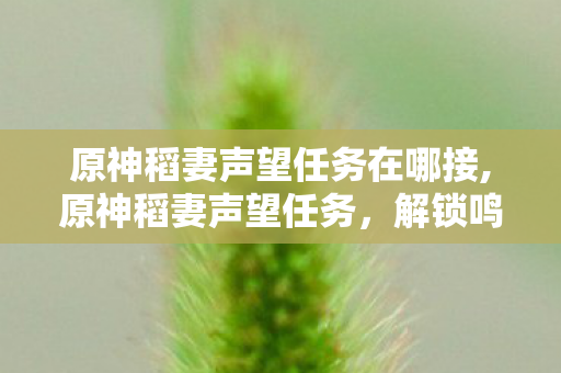 原神稻妻声望任务在哪接,原神稻妻声望任务,解锁鸣神岛的烟火与专属馈赠 原神稻妻声望任务在哪接,原神稻妻声望任务,解锁鸣神岛的烟火与专属馈赠