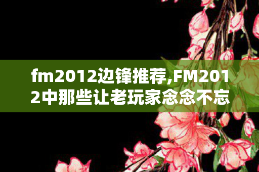 fm2012边锋推荐,FM2012中那些让老玩家念念不忘的妖人边锋 fm2012边锋推荐,FM2012中那些让老玩家念念不忘的妖人边锋