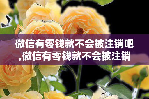 微信有零钱就不会被注销吧,微信有零钱就不会被注销?那些容易忽略的账号细节 微信有零钱就不会被注销吧,微信有零钱就不会被注销?那些容易忽略的账号细节