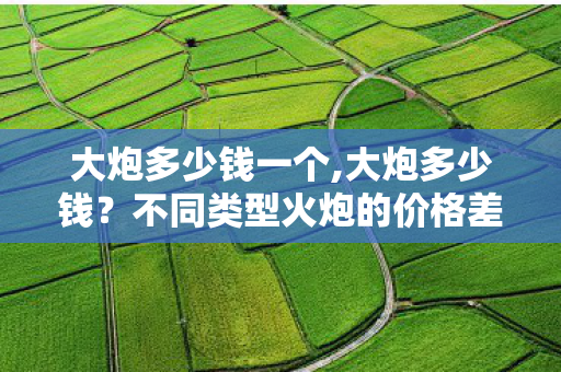 大炮多少钱一个,大炮多少钱?不同类型火炮的价格差异解析 大炮多少钱一个,大炮多少钱?不同类型火炮的价格差异解析