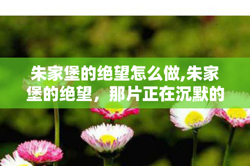 朱家堡的绝望怎么做,朱家堡的绝望,那片正在沉默的土地 朱家堡的绝望怎么做,朱家堡的绝望,那片正在沉默的土地