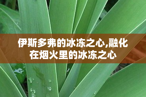 伊斯多弗的冰冻之心,融化在烟火里的冰冻之心 伊斯多弗的冰冻之心,融化在烟火里的冰冻之心