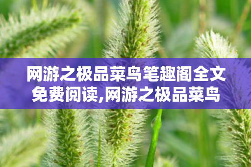 网游之极品菜鸟笔趣阁全文免费阅读,网游之极品菜鸟叶子,从划水小白到服务器的奶神 网游之极品菜鸟笔趣阁全文免费阅读,网游之极品菜鸟叶子,从划水小白到服务器的奶神