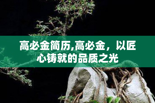高必金简历,高必金,以匠心铸就的品质之光 高必金简历,高必金,以匠心铸就的品质之光