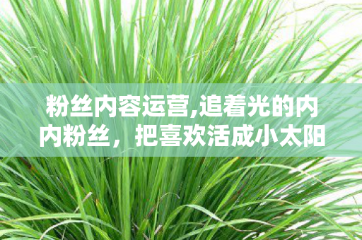 粉丝内容运营,追着光的内内粉丝,把喜欢活成小太阳 粉丝内容运营,追着光的内内粉丝,把喜欢活成小太阳