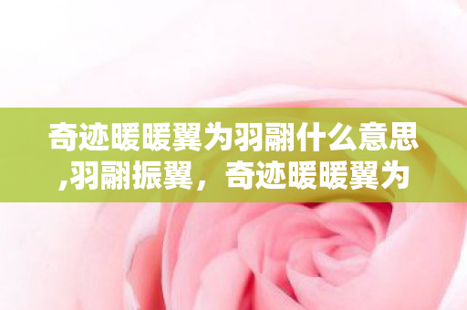奇迹暖暖翼为羽翮什么意思,羽翮振翼,奇迹暖暖翼为羽翮套装的美学与共鸣 奇迹暖暖翼为羽翮什么意思,羽翮振翼,奇迹暖暖翼为羽翮套装的美学与共鸣