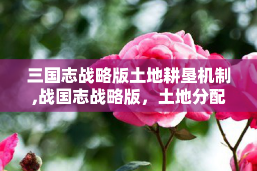 三国志战略版土地耕垦机制,战国志战略版,土地分配的策略与联盟运营 三国志战略版土地耕垦机制,战国志战略版,土地分配的策略与联盟运营