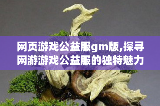 网页游戏公益服gm版,探寻网游游戏公益服的独特魅力 网页游戏公益服gm版,探寻网游游戏公益服的独特魅力