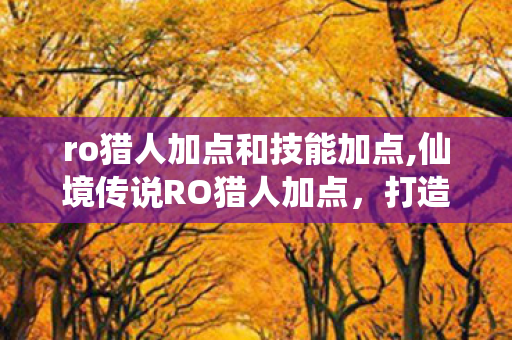 ro猎人加点和技能加点,仙境传说RO猎人加点,打造高效输出的核心指南 ro猎人加点和技能加点,仙境传说RO猎人加点,打造高效输出的核心指南